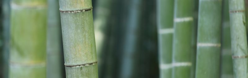 VITAPIL biotyna i bambus